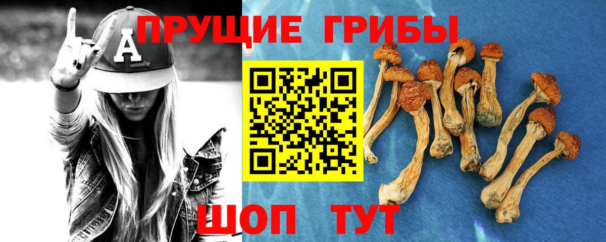 Галлюциногенные грибы ЛСД  Вход с VPN  Острогожск  Псилоцибиновые грибы GOLDEN TEACHER 