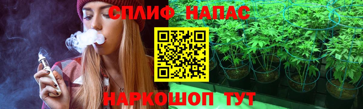 Канабис план Острогожск